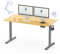 FLEXISPOT höhenverstellbarer Schreibtisch elektrisch 160x80cm, Schreibtisch höhenverstellbar 2-stufige mit Haken und Sitz-Steh-Erinnerungs - QN1 Basic(ahorn, grau Gestell)