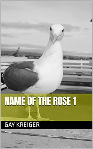 NAME OF THE ROSE 1 (English Edition)