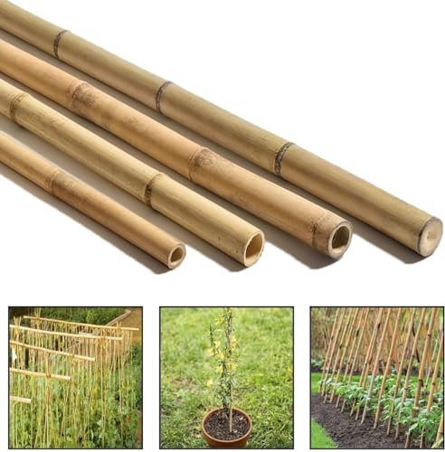 Z&A Thick Bamboo Canes - Support for Indoor Outdoor Plants - Reusable Bamboo Plant Garden Stick - Multiple Lengths 2ft - 6ft Stick - Garden Divider, Tomato, Flower, Rose, Climber (10, 4ft (120cm))