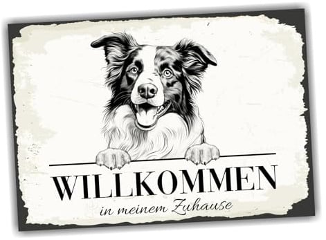 siviwonder Hundeschild Willkommen Zuhause Border Collie No.4 Dog Schild Spruch Türschild Warnschild Geschenkidee schöner Spruch Hundemotiv Aluminium Wetterfestes Hundeschild