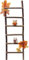 Trend Line Deko Leiter Herbst Holz 43 x 14 cm braun orange Dekoleiter
