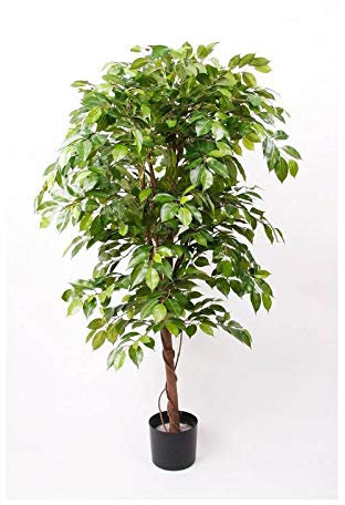 artplants.de Fake Ficus Benjamina BARTOLO, real stem, green, 6ft/170cm - Artificial weeping fig tree/Faux ficus tree