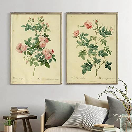 IBUKHSDGYIFH Plantes anciennes Illustrations Toile Affiches Vintage Botanique Gravures Bureau Études Décor Mur Art Photos Rose Fleur Peinture Sans Cadre-30x40cmx2