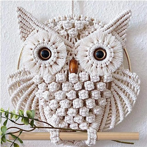 ZOYIEP Eule Makramee Wandbehang, Boho Deko Handgewebter Traumfänger Wandteppich Dekoration (15x60cm)