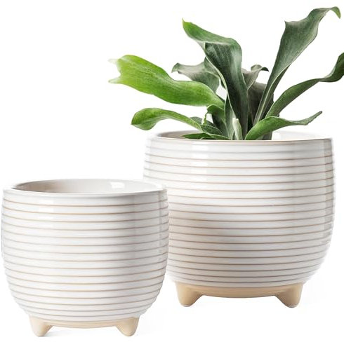 LE TAUCI Vaso per Piante in Ceramica, Vasi con Piedi da 12 + 16 cm per Piante, Vaso da Fiori Moderni e Carini per la Casa e l'Ufficio, Piccoli Vaso per Piante da Interno con Fori di Drenaggio, Bianco