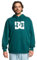 DC Shoes Men's DC Star PH Skateboarding Hoodie, Mountain View, M
