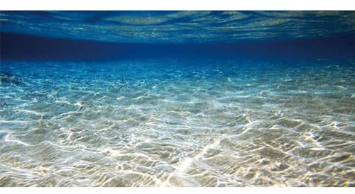 AWERT Hintergrund für Aquarium, Unterwasser-Hintergrund, Unterwasser-Hintergrund, Unterwasser-Thema, 152,4 x 61 cm