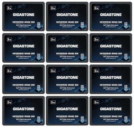 Gigastone SSD 2TB NAS SSD Disco (set da 12) 24/7 Alta Resistenza TLC business RAID Sync Cloud Dati Backup Network Attached Storage Cache SATA III 2,5 Pollici Unità a stato solido interno