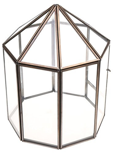 Tubayia Boîte de Terrarium de Style Moderne en Verre Pot de Fleur Vase Terrarium pour Plante Succulente Fleur