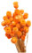 Bouquet Di Margherite Secche Fiori Secchi Naturali Decorazione In Vaso Tavolo Floreale 50 Steli Fiori Secchi Naturali Arancioni Bouquet Di Fiori Secchi Fiori Finti Per Decorazione In Vaso Bouquet Di M