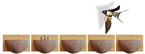 BigDean 5x Schwalbennistkasten Einzelnest offen Schwalbennest Rauchschwalbennest Nistkasten Nisthilfe Schwalben Holzbeton