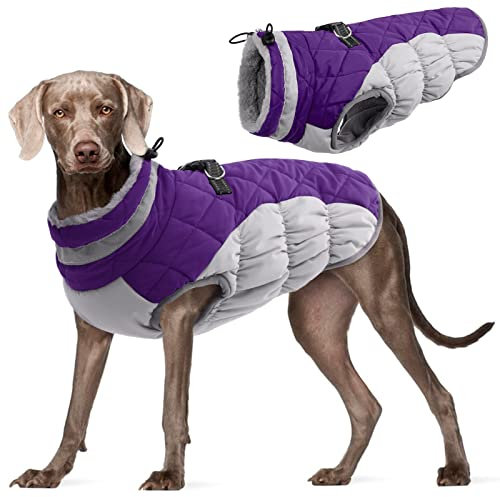 Kuoser Hundejacke Hundemantel für Große Hunde Winterweste Wasserdicht Hunde Wintermantel Jacke Winter Hunde Mantel Mit Geschirr Warme Winterjacke Hundepullover Haustier Skifahren Kostüm Lila, XXL