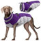 Kuoser Hundejacke Hundemantel für Große Hunde Winterweste Wasserdicht Hunde Wintermantel Jacke Winter Hunde Mantel Mit Geschirr Warme Winterjacke Hundepullover Haustier Skifahren Kostüm Lila, XXL