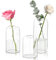 Winter Shore Knospen-Vase Glas Set (3er-Pack) - Kleine, Mittlere & Große Blumenvase Glas für Tischdeko - Zylindrische, Minimalistische Deko Vase für Büro, Hochzeit - Durchsichtige Vasen Deko