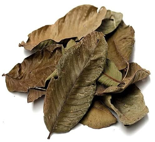 al badil Foglie di Guava Foglia di Guava Essiccate per Tisana - 100% Naturale