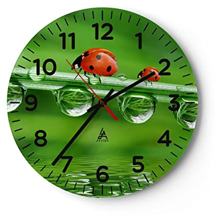 ARTTOR Moderne Wanduhr 30x30cm Rund Glasuhr Natur Tiere - 2661 | Marienkäfer Wasser Grün Glas Analog Wanduhr Lautlos Wanddekoration Wohnzimmer Küche Wanddeko Küchenuhr Geräuschlos ARTTOR