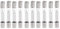 Yanhonin 10PCS 5KV 0.8A 800MA fusible de alto voltaje para microondas, tubos de fusible de vidrio axial