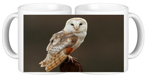 Set of 4 Barn Owl Birds Ceramic Coffee Mugs in Smash Proof Box