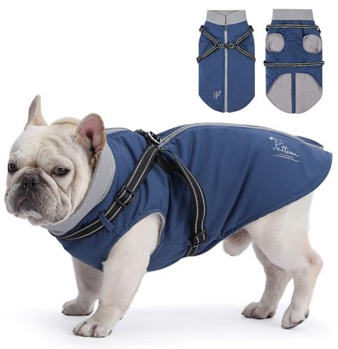 PETTOM Hundemantel für Kleine Hunde, Hundejacke Wasserdicht, Hundemantel Winter Warm und Winddicht, Wintermantel Hund Fleece, Hundemantel mit Geschirr (Blau, M)
