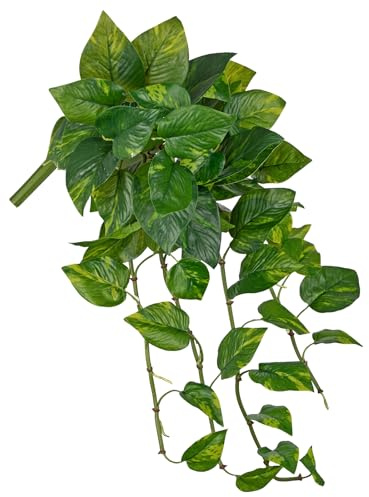 Briful Pianta artificiale sospesa Pothos – Verde artificiale realistico Scindapsus Viticci, ca. 60 cm, pianta decorativa per parete, soggiorno e interni