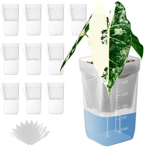 TineDew 10 Pack 2.5 inch Clear self Watering pots for Indoor Plants | Water Level Indicator,Drainage Hole, plant propagation,seedling,cutting and African violet,plant lables