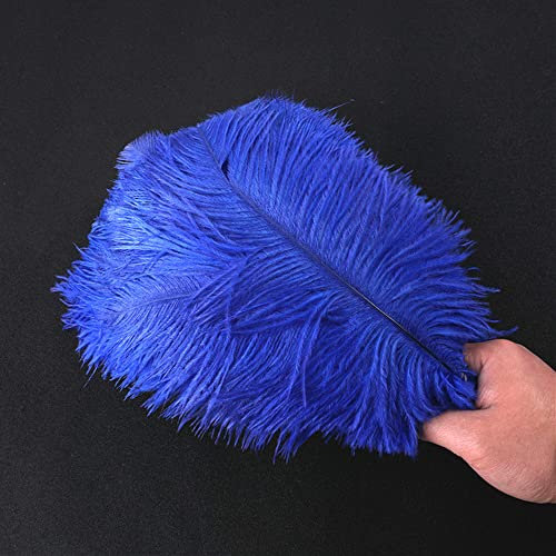 10 Stück 25-30cm Natürliche Straußenfedern,Strauß Feder zum Basteln,Bastel Federn für DIY Traumfänger Zubehör,Heimdekoration,KostüMe,Tischdeko Hochzeit Party Fest Hüte Kleidung Dekoration,Dunkelblau