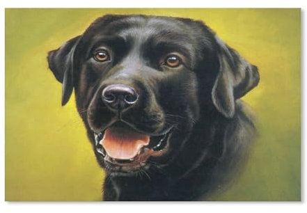 Animal pet black dog Labrador,Jigsaw Puzzles for Adults 1000 Piece, Classic Puzzle Teens Boys Girls Puzzles Sturdy Tight Fitting Pieces,Letters On Back for Ideal Challenging And Gift(38x26cm)-F81