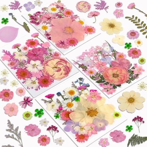 Resiners 100 Stück Rosa Getrocknete Blumen Natürliche Gepresste Getrocknete Blumen Blätter für Harz Schmuck Machen, DIY Kerzen, Anhänger, Handyhüllen, Fotorahmen, Bath Bombs, Scrapbook