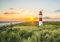 ForWall - Vlies Fototapete Strand Meer Nordsee Gräser Leuchtturm Sonne 416x254 cm - Fototapeten - Tapeten - für Wohnzimmer Schlafzimmer - Vliestapete Wandtapete Tapete 3D Effekt- inkl. Kleister