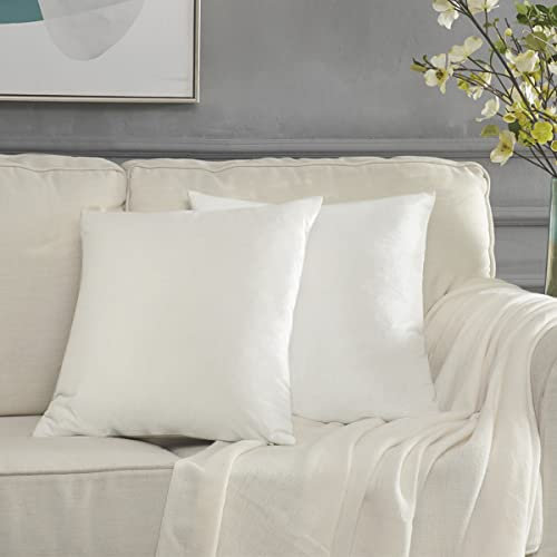GIGIZAZA Kissenbezug 40x40 cm Kissenbezüge Samt Kissenhülle Weiß Zierkissenbezug Dekokissen für Sofa Schlafzimmer Wohnzimmer 2er Set
