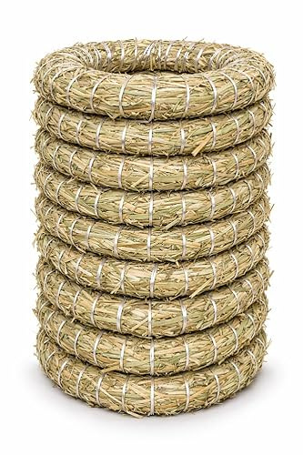 Strohkranz Rohling Ø 15 x 3 cm - 10er Set aus Natürlich Gebundenem Stroh - Formstabile und Dichte Basis für Türkranz und Osterkranz - Perfekter DIY Kranz Rohling