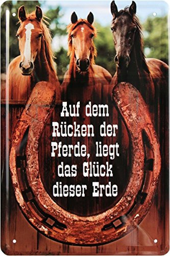 WOGEKA ART Retro Blechschild - Auf dem Rücken der Pferde liegt das Glück der Erde - witziger Spruch Geschenk-Idee Geburtstag Weihnachten Deko 20x30 cm Vintage-Design Metall 121