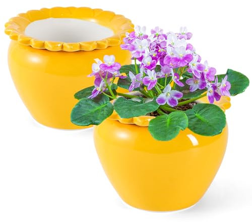 Lovely Ran Selbstbewässernder Topf für Zimmerpflanzen, gelb, Zimmerpflanzen, Kräuterpflanzen, Blumen, Terrakotta-Töpfe, afrikanische Veilchen, Keramik-Orchideen-Pflanzgefäß, saugfähiger Innentopf,