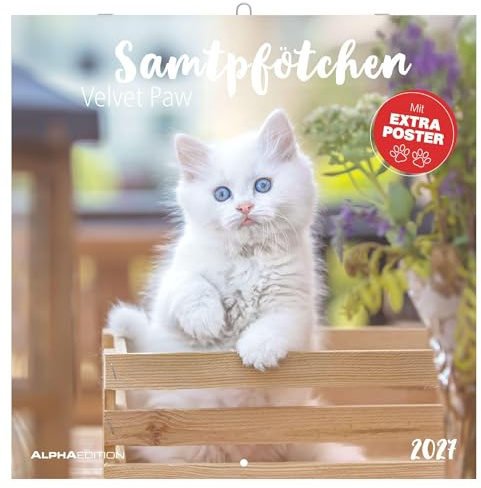 Samtpfötchen 2027: Wandkalender 30x30 cm (30x60 cm geöffnet) mit Notizkalendarium, 12 Katzenmotiven und Extra Poster
