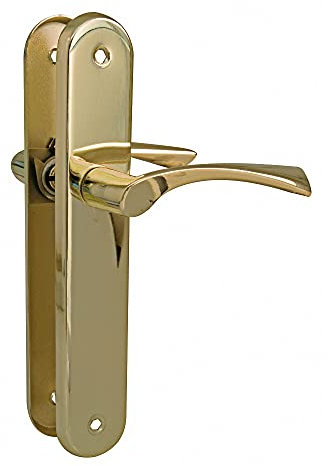 Amig - Set di 2 maniglie con piastra ovale in acciaio e maniglia in zama con finitura in ottone placcato vernice per porte interne - 237 x 40 mm · Maniglia 120 mm | Viti incluse.