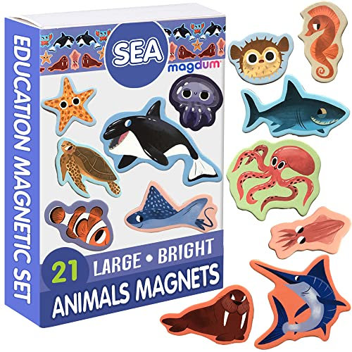 Magdum 21 Meerestiere Magnete Kinder für magnettafel - Magnet spielzeug kinder - Kinder Magnete -Kühlschrankmagnete Kinder - Kühlschrank Magnete set Kinder -Spielzeug ab 3 jahre -Lernspiele ab 3 jahre