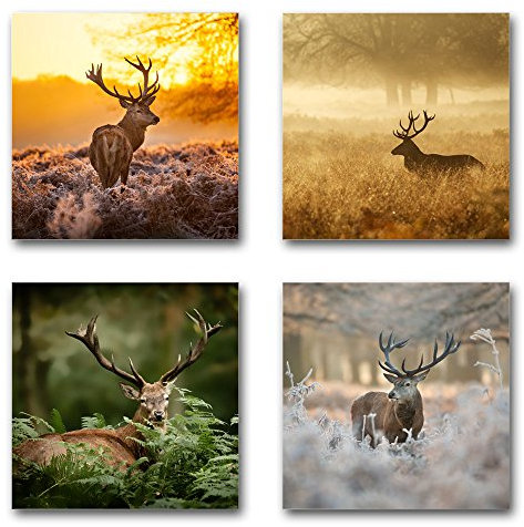 4 beeindruckende Wand-Bilder von Hirschen im Wald und Natur - je 30x30cm - Naturbilder Landschaftsbilder als Leinwandbilder zur Deko in Wohnzimmer, Schlafzimmer, aufhängefertig, Motiv Set-A braun