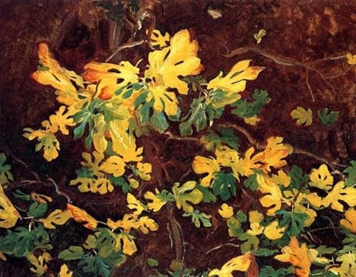 Leinwandbilder Bild Kunst Leinwand Malerei Ölgemälde Studie eines Feigenbaums von John Singer Sargent für Wanddekoration 60x90cm