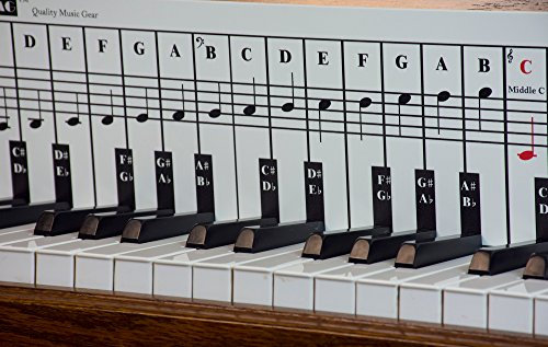 QMG Piano Note Chart, Use Behind the Keys, Made with High Quality Foam PVC Sheet, Ideal Visual Tool for Beginners Learning Piano, Easy to Set Up, Cover Four Octaves, Made in USA