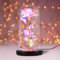 NLIGHTING® Rosa Eterna Stabilizzata Galaxy Incantata Idea Regalo Festa della Mamma Fidanzata per Lei Kit la Bella e la Bestia con Luci e in Campana di Vetro