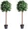 Abaseen 4ft Artificial Bay Laurel Trees | Set of 2 | Real Wood Trunks, Natural-Look Green Leaves | Indoor/Outdoor Decorative Plants