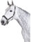 Standard Halfter PIN BUCKLE