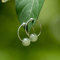 Weiß/Grün Natural Jade 925 Sterling Silber Hoop Ohrringe, exquisiter Schmuck for Frauen, Weihnachtsgeschenke (Gem Color : Green)
