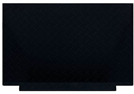 FTDLCD® 17,3 Zoll 240Hz QHD LED LCD Screen Display Panel Bildschirm Ersatzteil für MSI Raider GE76 2560x1440 40Pins