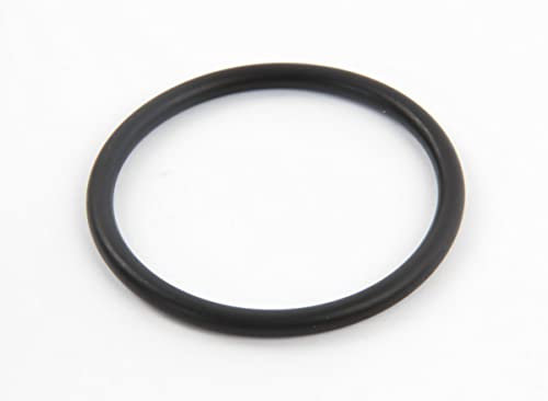 Hayward - Joint torique Plat de traversée pour Filtre à Sable Side de Piscine - Noir - SX0360Z1