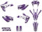 KIT DECO RIEJU MRT 50 DE 2009 à 2021 GALAXIE (Violet)