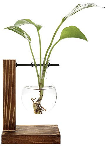 belupai Hydrokultur-Pflanzvase, Retro-Blumentopf, transparente Vase mit Holzrahmen, Tischpflanzglas für Zuhause, Bonsai, Deko, A – 1 Glühbirnenvase, 11.5 x 13.5 cm