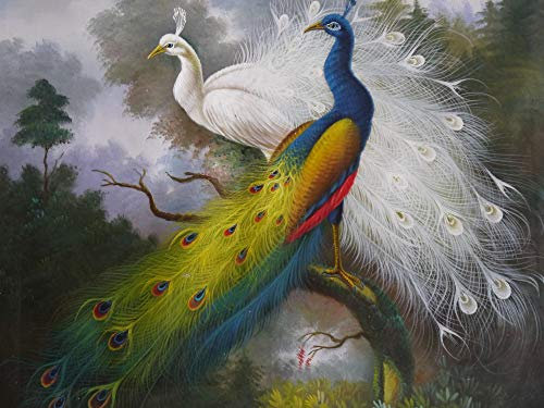 Tapeten Wandbild Hintergrundbild Fototapete Wallpaper Home Dekorative Tapete Bild Ölgemälde Liebe Liebe Pfau Wohnzimmer 3 D Hintergrund Fototapete, 150 * 105 Cm