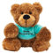 Bär mit grünem Shirt Gute Besserung 16 cm Teddybär