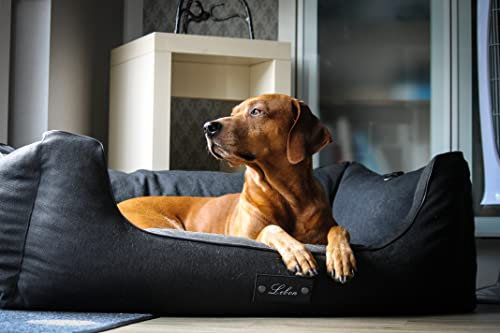 Lebon - Hundebett Carl Plus -100x75x30cm - Orthopädisch- mit Liegedecke zum befestigen - Deluxe - Made IN EU